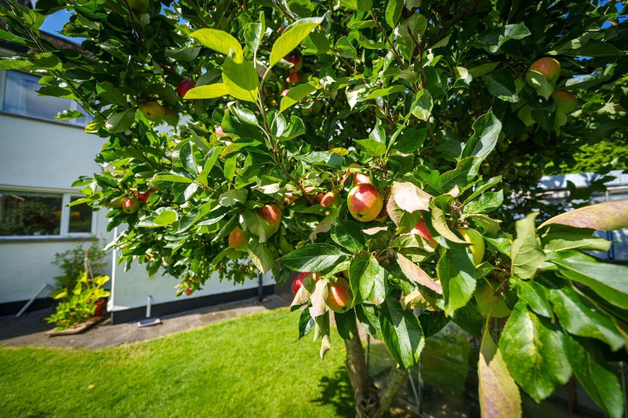 Apple Byrd - Short Stroll Into Kendal Town Centre别墅 外观 照片